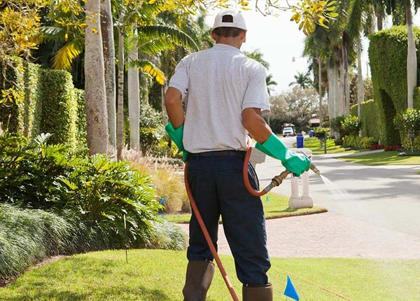 About Davis Station SC Pest Control Pros